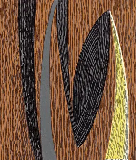 Illustration And Pain Prints: Woodgrain Pattern