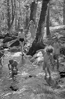 Woodland Adventure