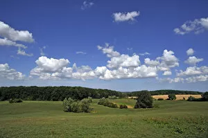 Woodland and grassland with cloudy sky, Othenstorf, Mecklenburg-Western Pomerania, Germany