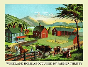 Chicken Prints: Woodland Home as Occupied by Farmer Thrifty