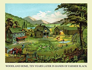 Homestead Prints: Woodland Home, Ten Years Later in Hands of Farmer Slack