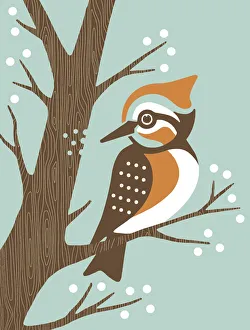 Woodpecker Gallery: Woodpecker in Tree