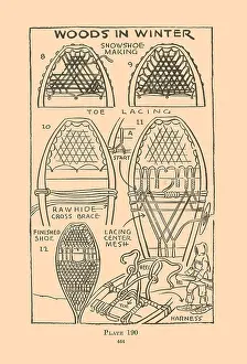 Snowshoes Prints: Woods in Winter IX