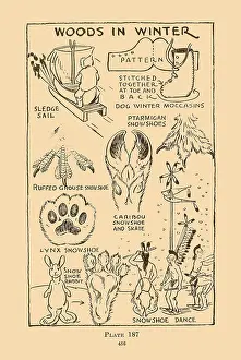 Paws Prints: Woods in Winter VII