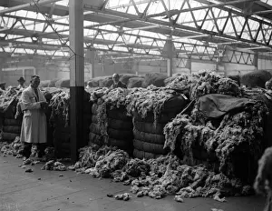 Wool Mountain
