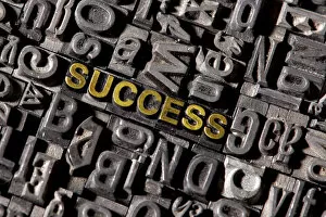 Images Dated 24th February 2012: The word Success, made of lead type