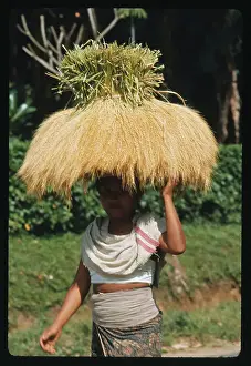 Bali Prints: Worker Carrying Rice on Head