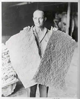 Worker Displaying Synthetic Rubber