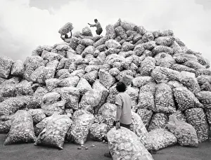 Workers Atop Mound of Aluminum Cans