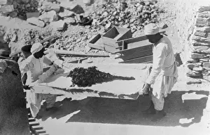 Luxor Prints: Workers Carrying Ancient Flowers on Stretcher