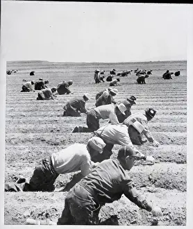 Moving Prints: Workers On Japanese Relocation Center