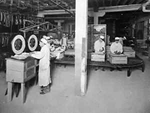 Workers At A Meat Packing Plant