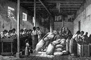 Costa Rica Prints: Workers Packing Coffe In Bags; Illustrat