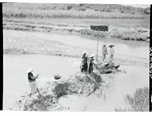 Rustic Prints: Workers in Rice Fields