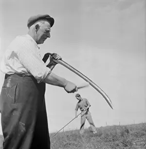 Scythe Prints: Working In Field