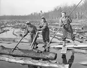 Concord Prints: Working at the Sawmill