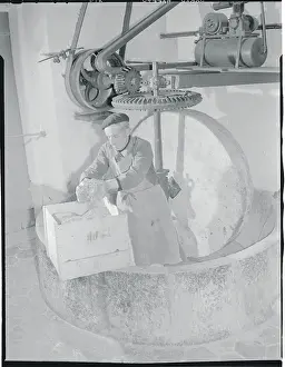 Workman Grinding Lavender