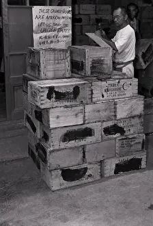 Workman Opening a Crate