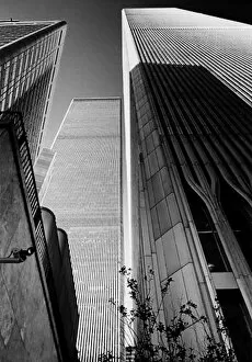 World Trade Centre, New York Collection: World trade center