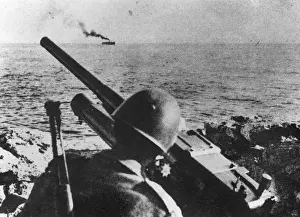 Landscape Male Back Prints: World War II