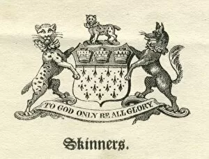 Images Dated 8th March 2013: Worshipful Company of Skinners armorial