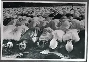 Calcutta Prints: Worshippers Praying Together