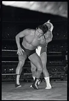 Wrestling Professionals in Action