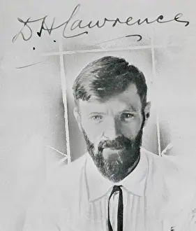 Lawrence Prints: Writer D.H. Lawrence