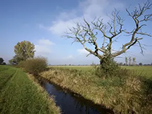 Bare Prints: Wuemmewiesen nature reserve, Bremen, Germany, Europe