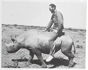 Wyman Carroll Riding on a Rhino