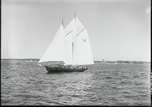 Bermuda Prints: Yacht During Bermuda Race Event