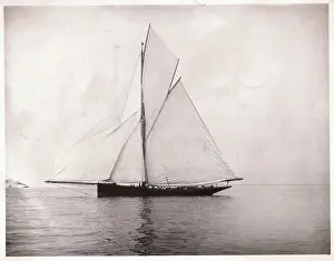 Quiet Prints: The Yacht Genesta