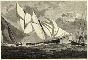 Yachts Competing in a Race