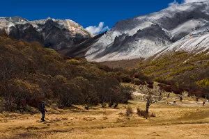 Images Dated 20th October 2012: Yading Nature Reserve, Sichuan Province, China