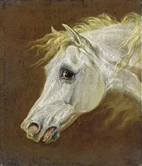 Equestrian Prints: Yale Center for British Art, Paul Mellon Collection, USA