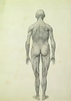 Scientific Prints: Yale Center for British Art, Paul Mellon Collection, USA