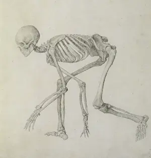 Crouching Prints: Yale Center for British Art, Paul Mellon Collection, USA