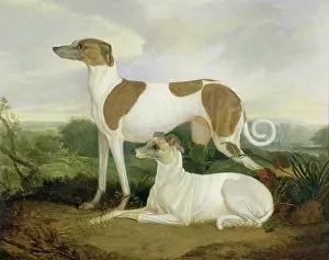 Traditionally British Prints: Yale Center for British Art, Paul Mellon Collection, USA