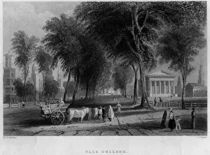 Yale College