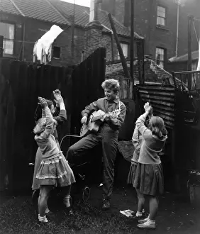 Rock N Roll Prints: Back Yard Tommy