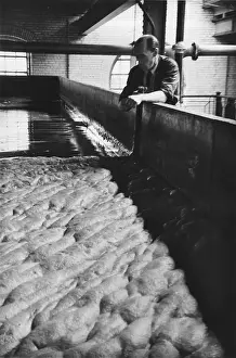 M Win Beer Processing Guinness Prints: Yeast Removal