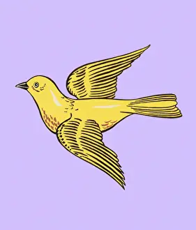 Canary Prints: Yellow Bird