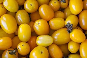 Images Dated 20th August 2014: Yellow cherry tomatoes