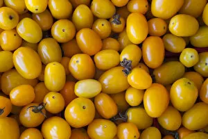 Images Dated 20th August 2014: Yellow cherry tomatoes