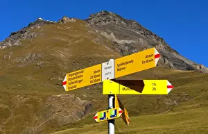 Direction Sign Prints: Yellow hiking signposts on an alpine pasture below Schilthorn Mountain in the Muerren hiking area