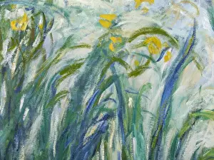Yellow and Purple Irises, 1924-25 (oil on canvas)
