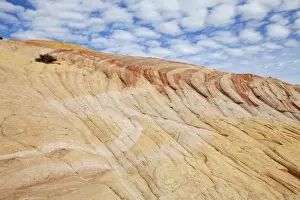 Monuments Prints: Yellow Rock, Utah, USA, America
