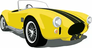 Sports Race Gallery: Yellow Shelby Cobra