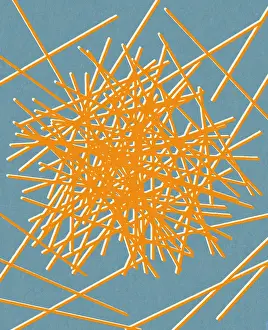 Illus Prints: Yellow Sticks
