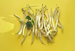 Legume Family Gallery: Yellow wax beans